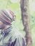 Maher Zain