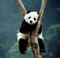 Karthika Subramanian