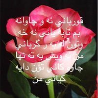 Hozan Tahir