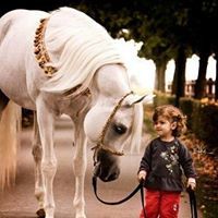 البنت الصقع