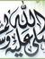منى حميدة