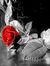 Fathima...