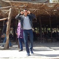 Waleed Mahmoud