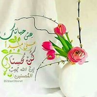 محمد بوعطية