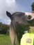 Carys Katy