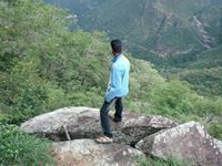 Rohit Roy