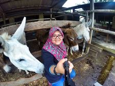 NorHazren Mohd
