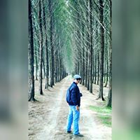 Bob Saputra Tanjung