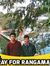 Saiful ...