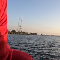 Shahd Mostafa