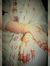 Syeda T...