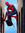 Lorenzo; | 3 comments