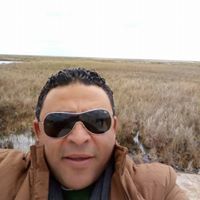 Ahmed Amawy