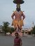Rohit P...