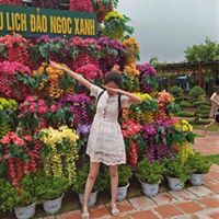 Hồng Anh