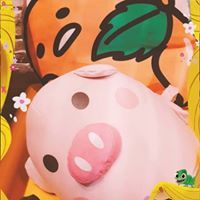 Candy Piggy