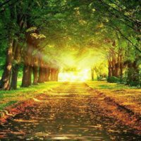 محمد الدغيسہ