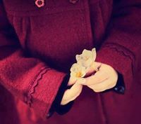 مبتغى الأريب