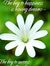 Thao Ng...