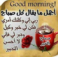 ولاء دويدار