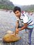 Nafis R...
