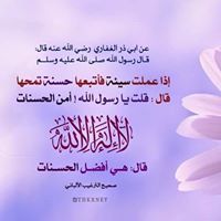 أحمد العرفي