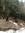 Thomas Goyette | 22 comments