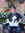 Serge Timmers | 15 comments