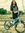 Nutan S...