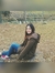 Merve