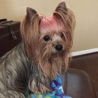 Catherine Castleberry