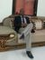 Ahmed B...