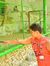 Ameer E...