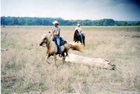 Timothy Wayne Michalk