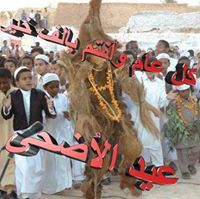 اوبي الحامدي