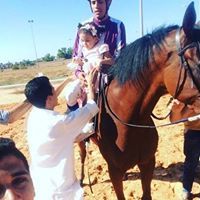 محمد الهجرسي