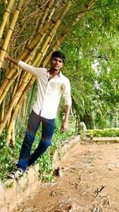 Kani Arasan