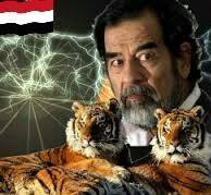 سامي الاصبحي