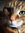Patricia (venio) | 13 comments