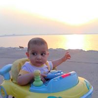 مصطفى شيخون