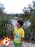 Samied ...