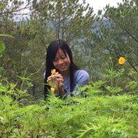 ដង្កូវ ទឹកត្រីកោះកុង