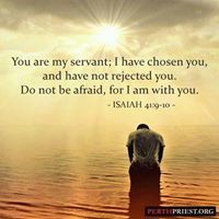 ச.சேவியர் விர்ஜின்ஸ்