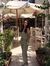 Laila Amro
