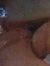Ivonne ...
