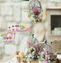 متہٰميٰزة بٰٰهدوئيٰ