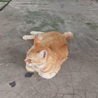 Punn Jakphun