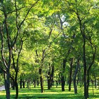 Shibashis Bhattacharya