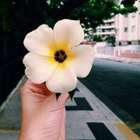 وجدان منصور