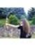 Andreea...